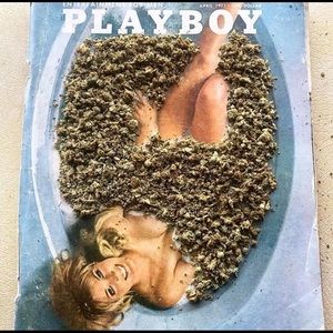 Meet your Posher, Maya